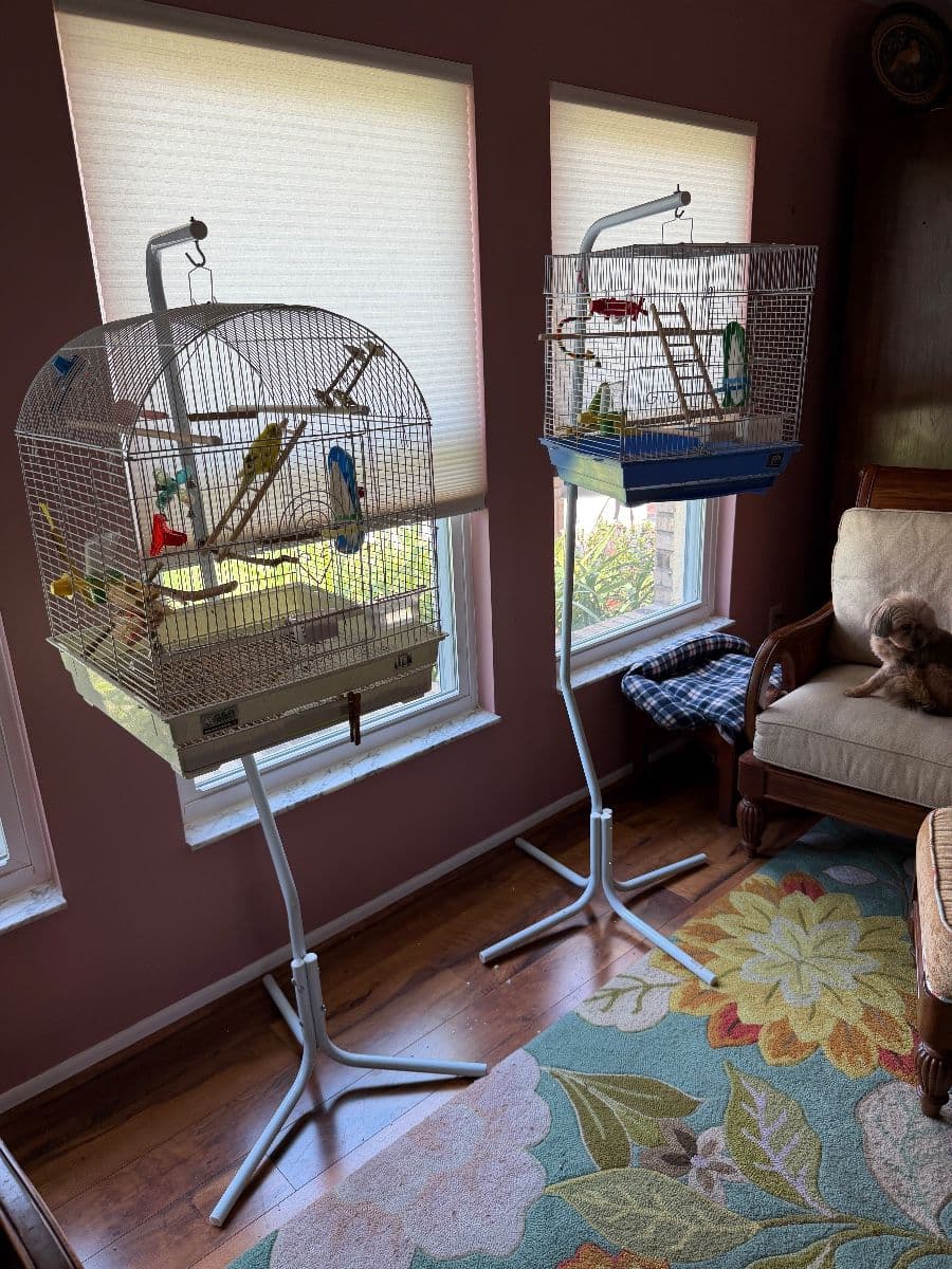 WHIMSICAL & ECLECTIC SALE IN PALM SHORES!! photo 7