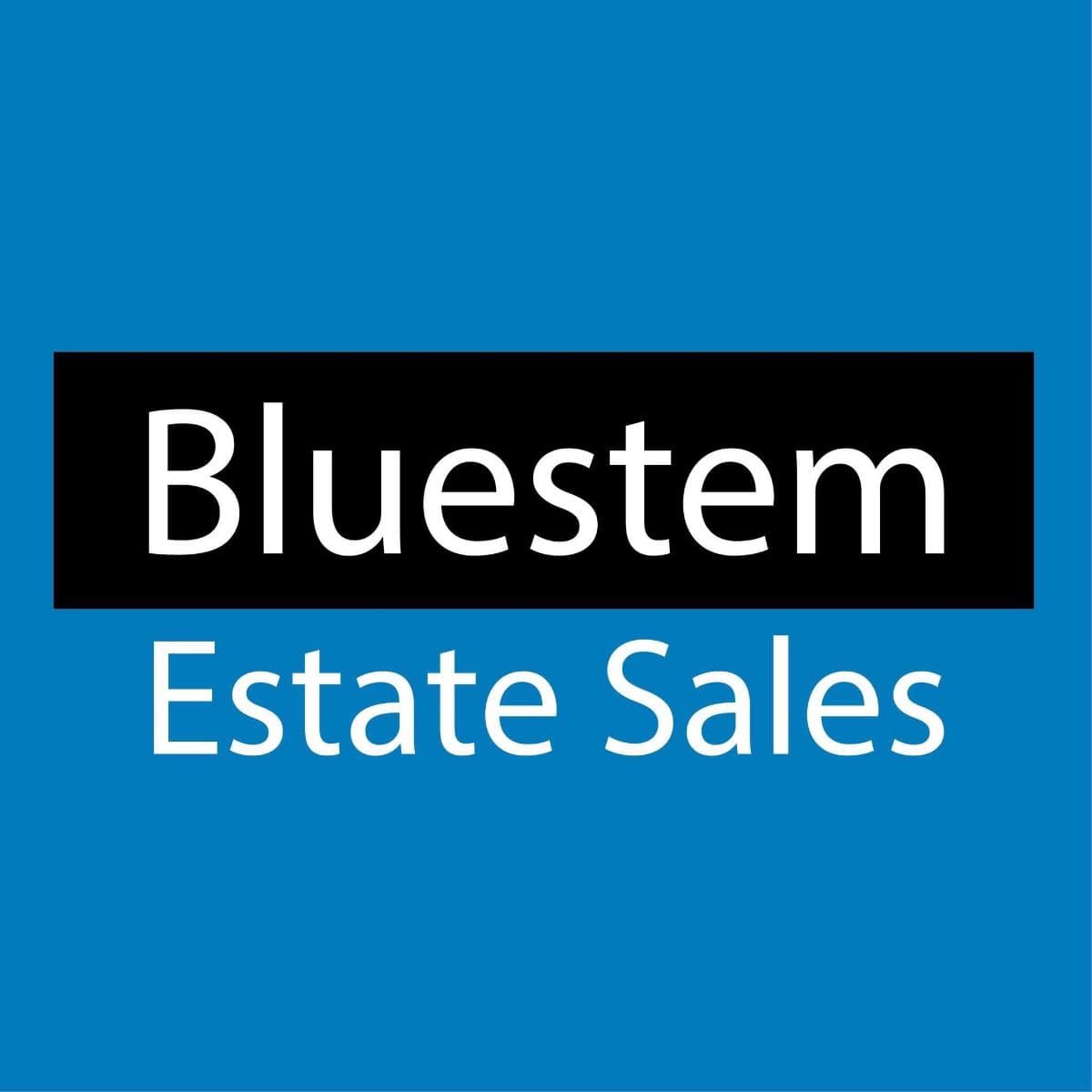1 -Day Estate Sale in KCMO by Bluestem photo 1