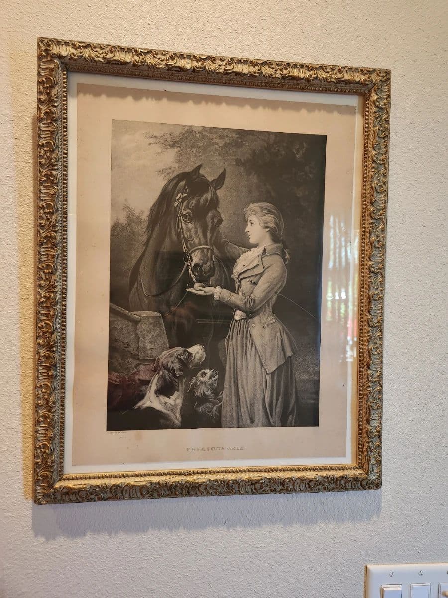 Hold your horses! Estate Sale in Salem photo 10