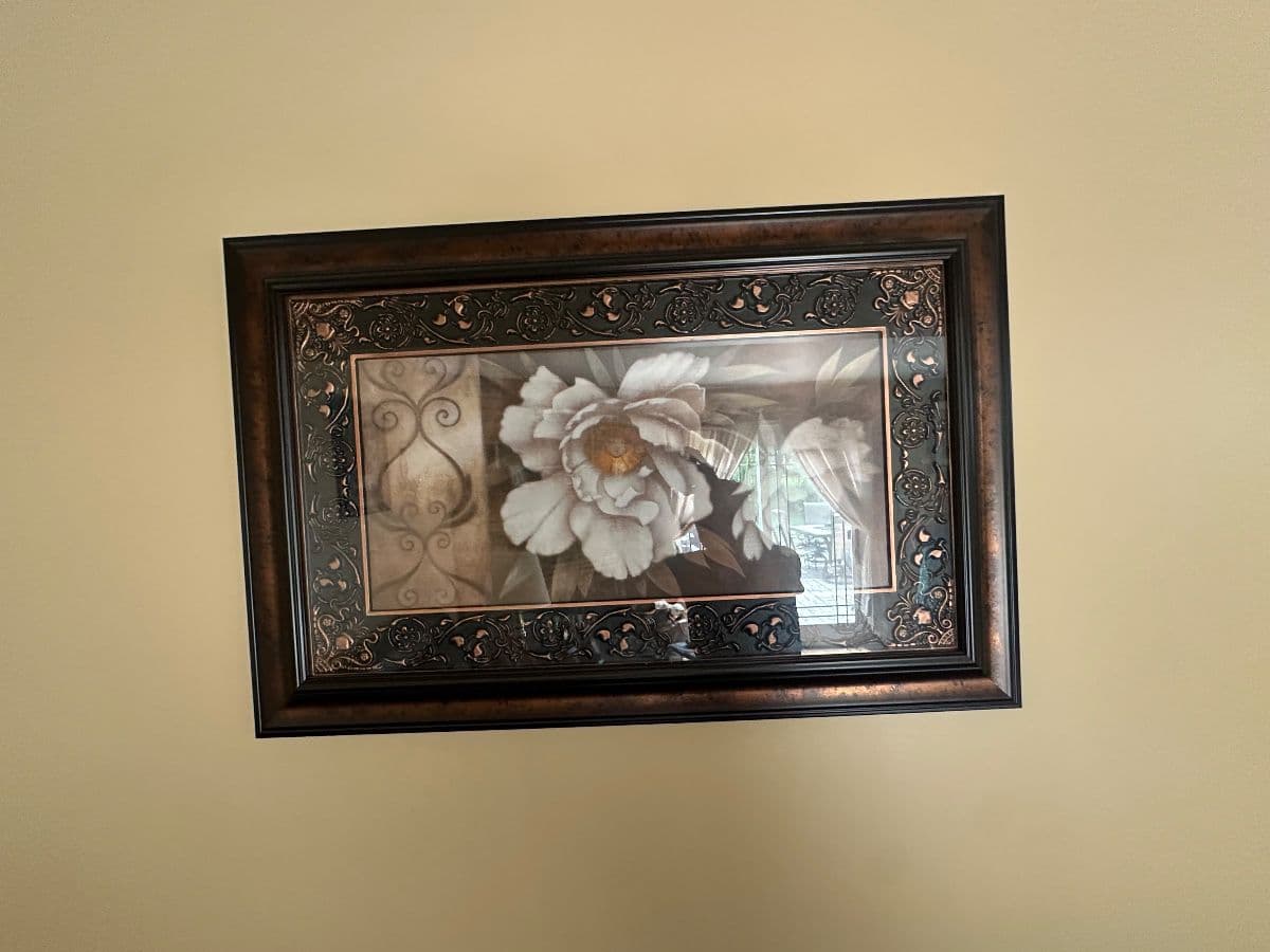Treasure Hunt in Orland Park photo 4
