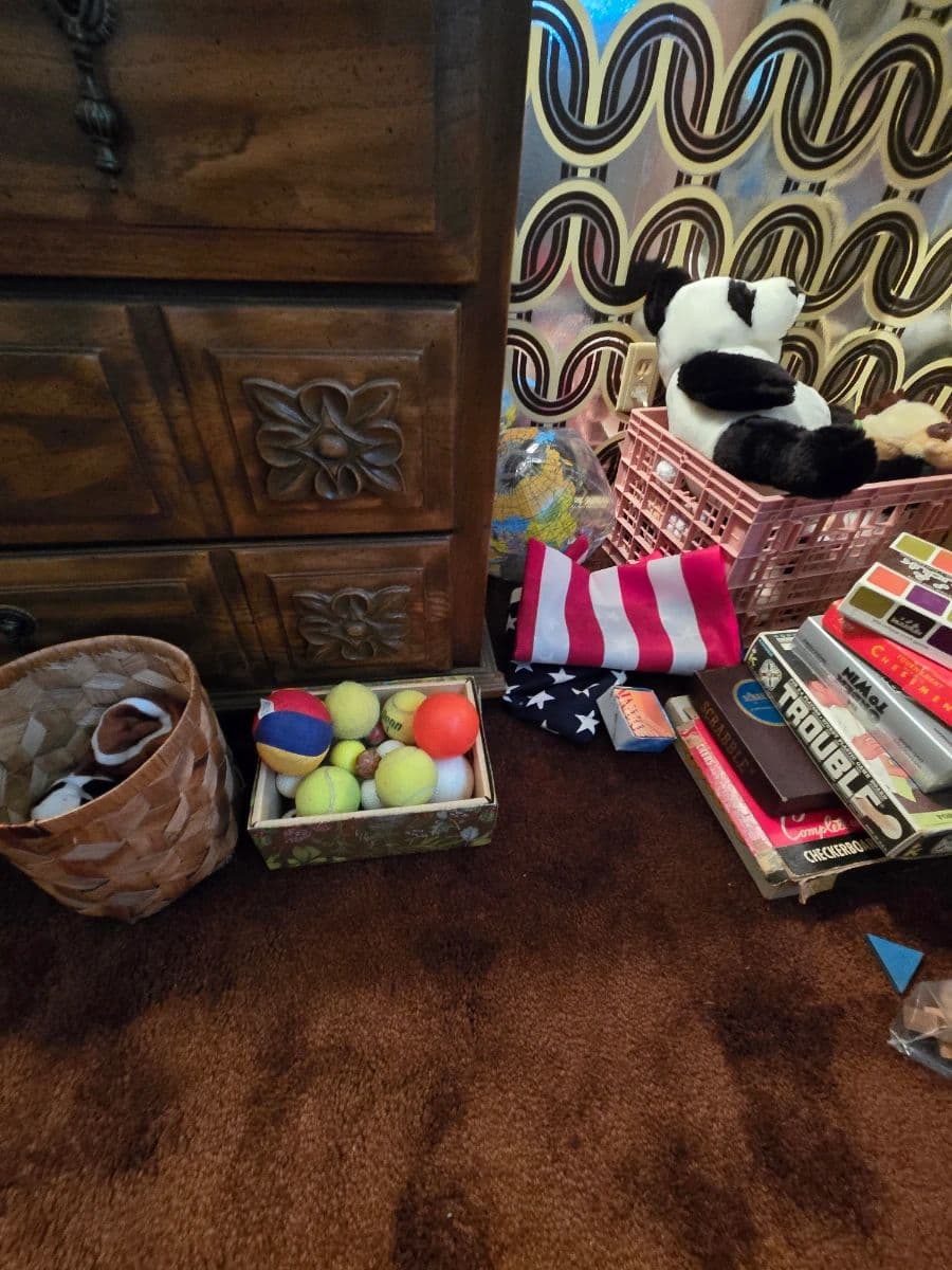 Treasure Hunt in Brookhaven photo 10