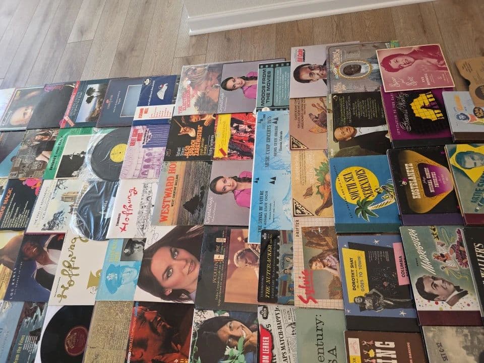 Small Estate Sale: ATV, Tools, Saddles, Vinyls & Much More! photo 11