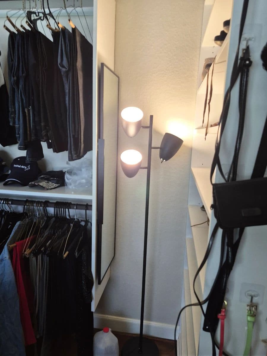Alvin Living Downsizing Estate Sale photo 10