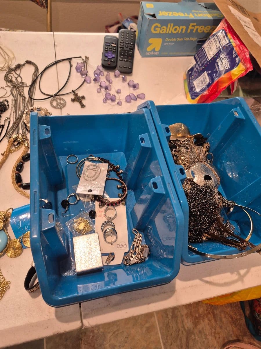 Alvin Living Downsizing Estate Sale photo 5