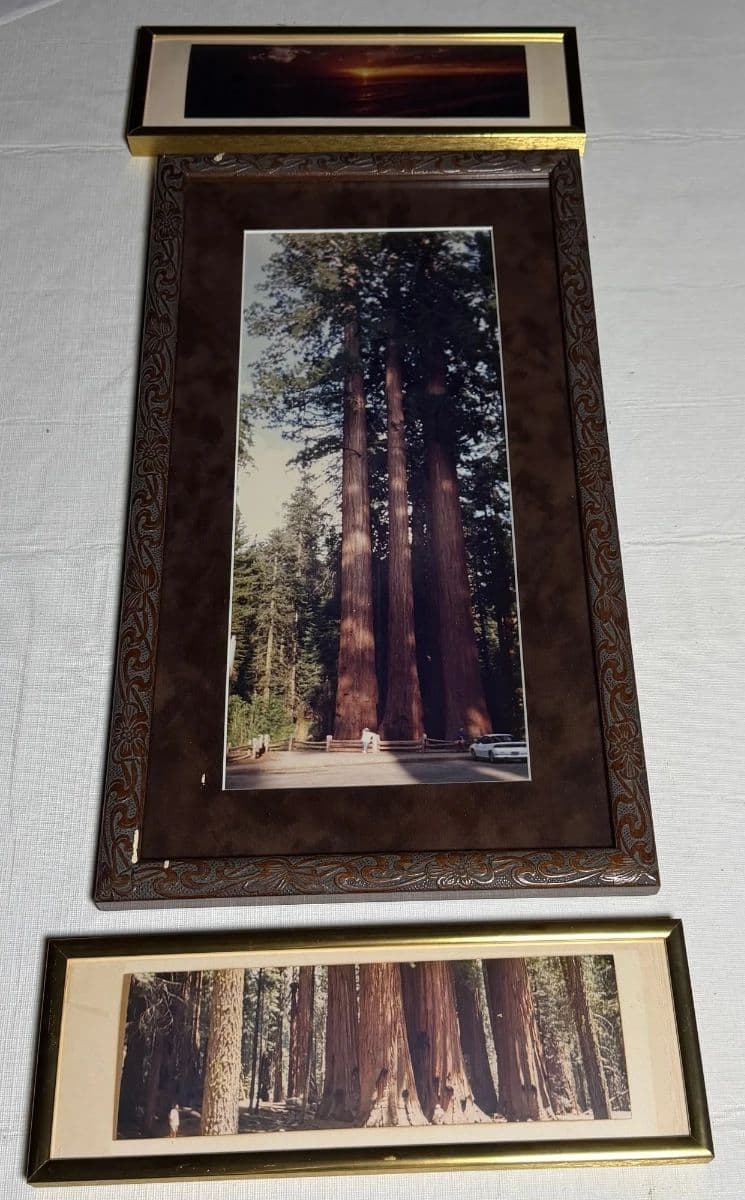 Palisades Park, NJ Estate Discovery Auction Antique Furniture, Brass, Collectibles & More! photo 6