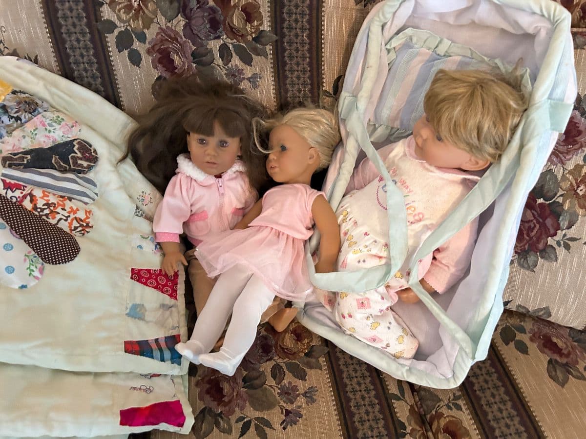 New Dates! Chesterton Estate Sale! The Ageless Treasure! photo 8