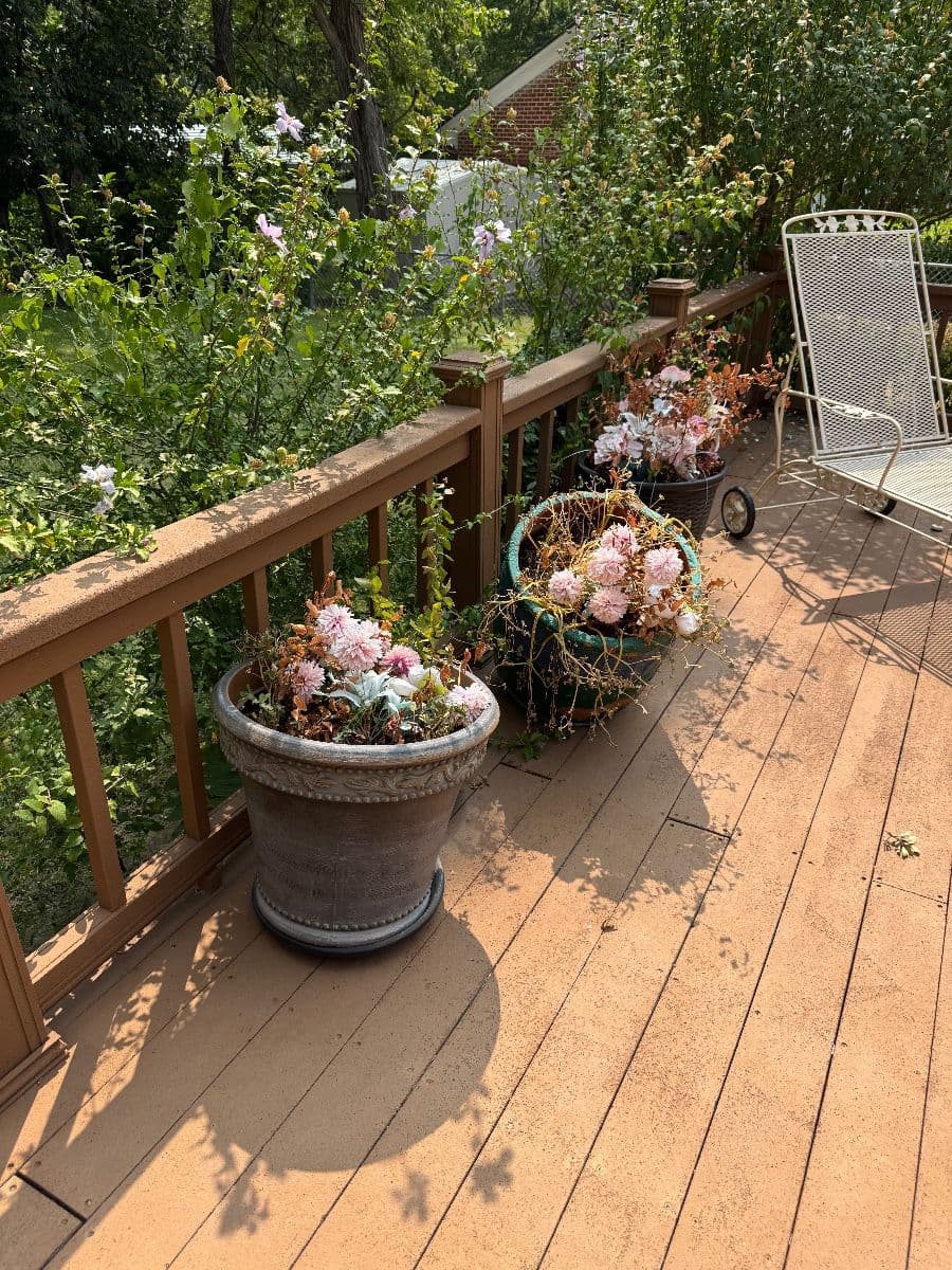 25% off MCM Duncanville Estate Sale Filled W/ MCM Furniture, Kitchenware, Collectibles & More photo 5