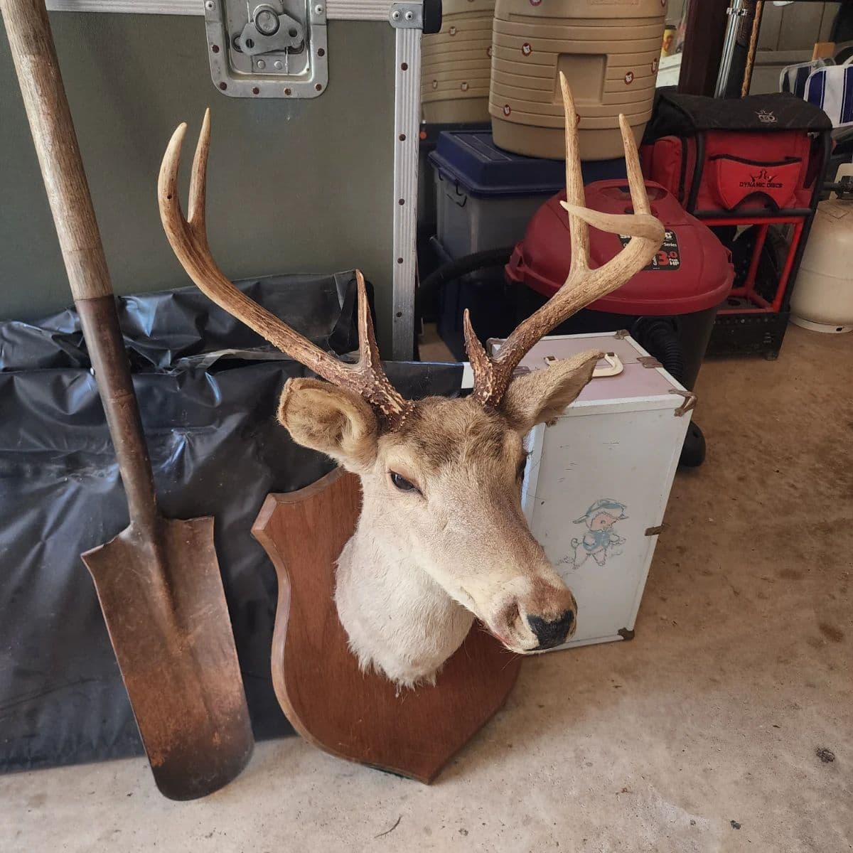 Fernandez Estate Elberton 1 day Auction photo 6